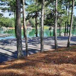 Lake Lanier Boat Ramps, trees and lake view