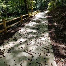 Wooden deck with a railing surrounded by greenery, Garnett Street Walking Trail