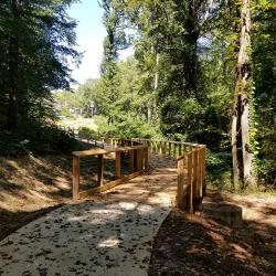 Shaded walking path in forested area, lined with wooden fences