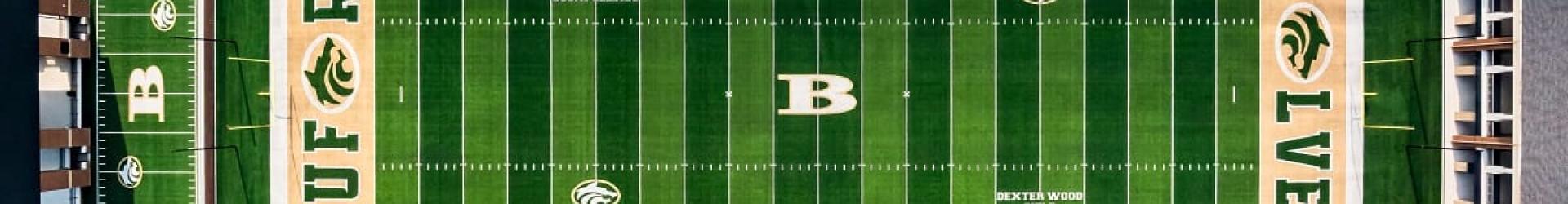 Aerial stadium view